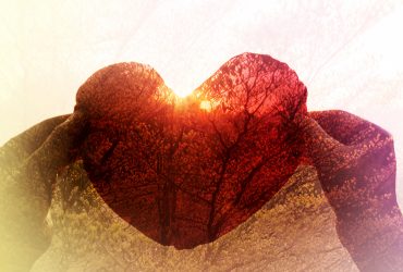 hand take red heart in sunset twilight colour and tree background with copy space